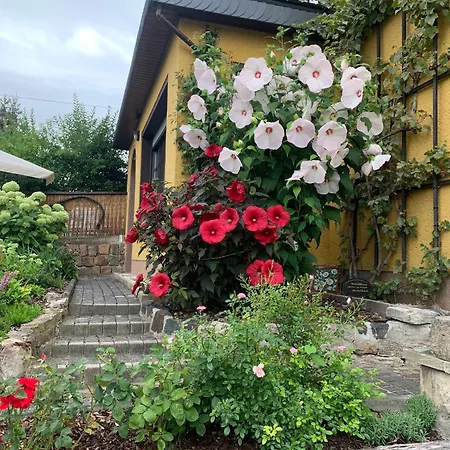 Partzsch Appartement Wethau